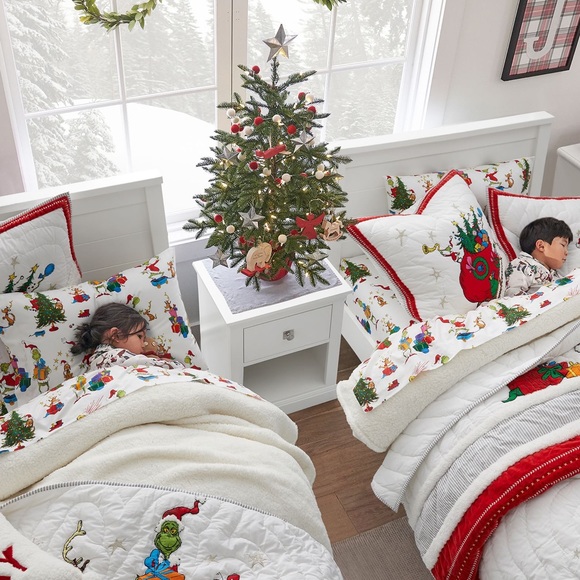 Pottery Barn Kids Dr. Seuss’s The Grinch & Max Organic Standard Pillowcase 🎄🎁 - Picture 14 of 16